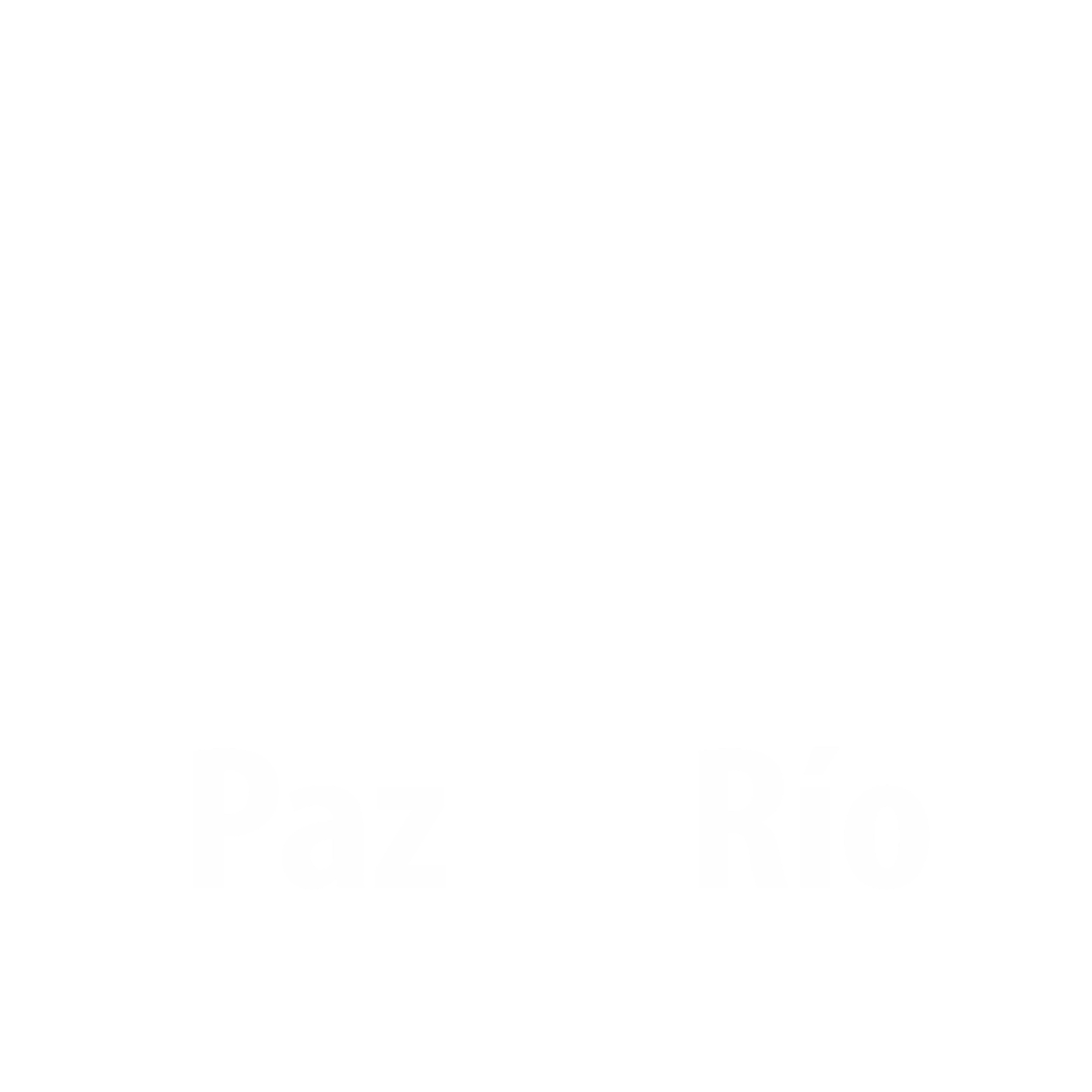 Logo Acerías Paz del Río